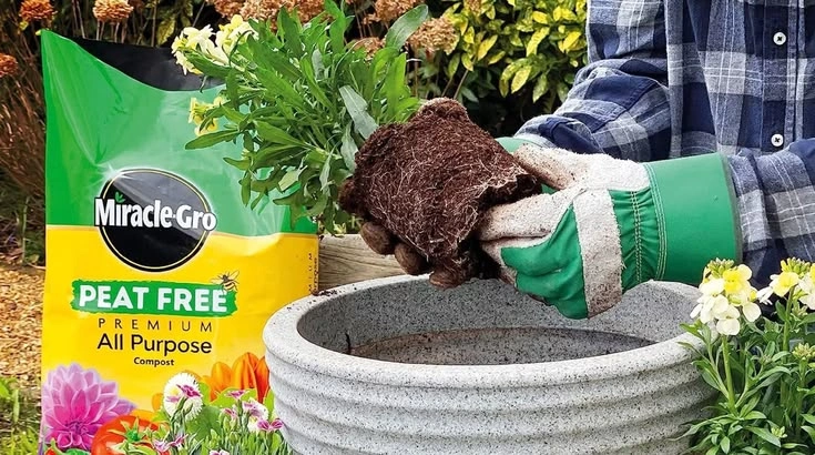 Peeacelily | Best Fertilizer for Flowering Plants: What Actually Works How Do You Apply Bloom Fertilizer Safely?