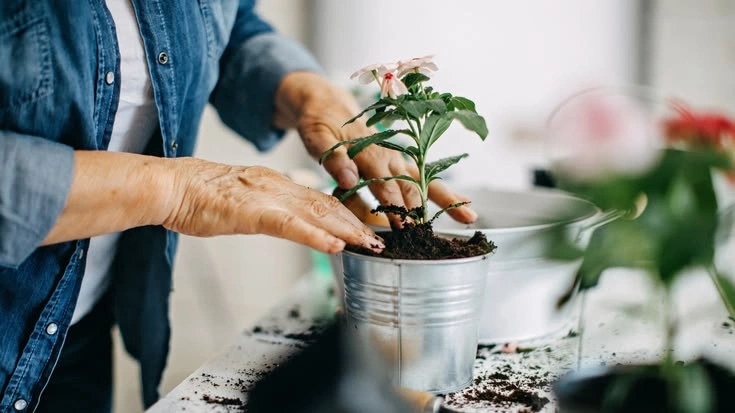 How Much Bigger Should the New Pot Be?