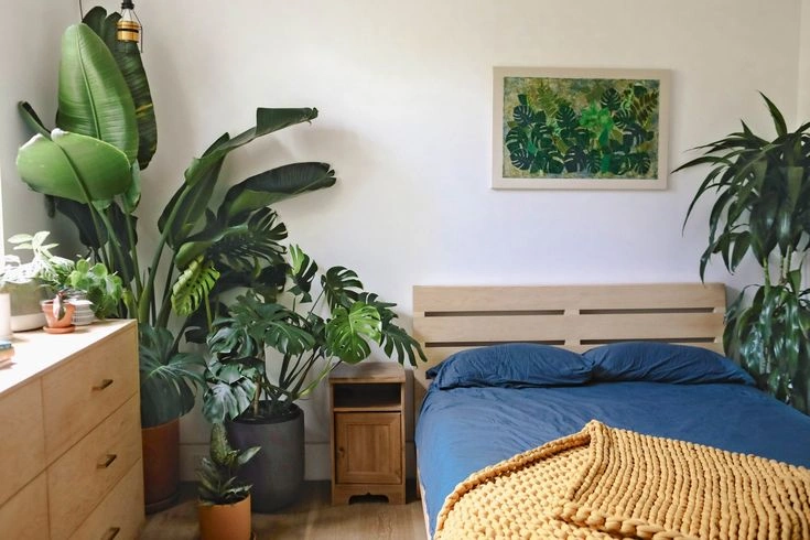 Peeacelily | Biophilic Interior Design: How to Bring Nature Into Your Home With Plants Why Plants Work So Well in Biophilic Design