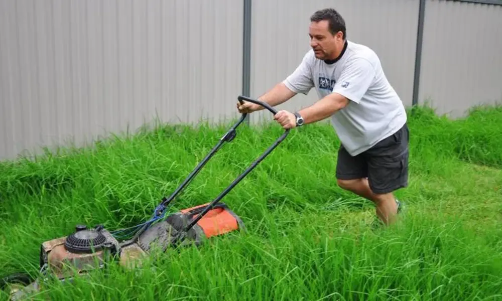 Peeacelily | Lawn Mower Repair: Common Problems and How to Fix Them A man pushing a lawn mower through tall green grass in a backyard.