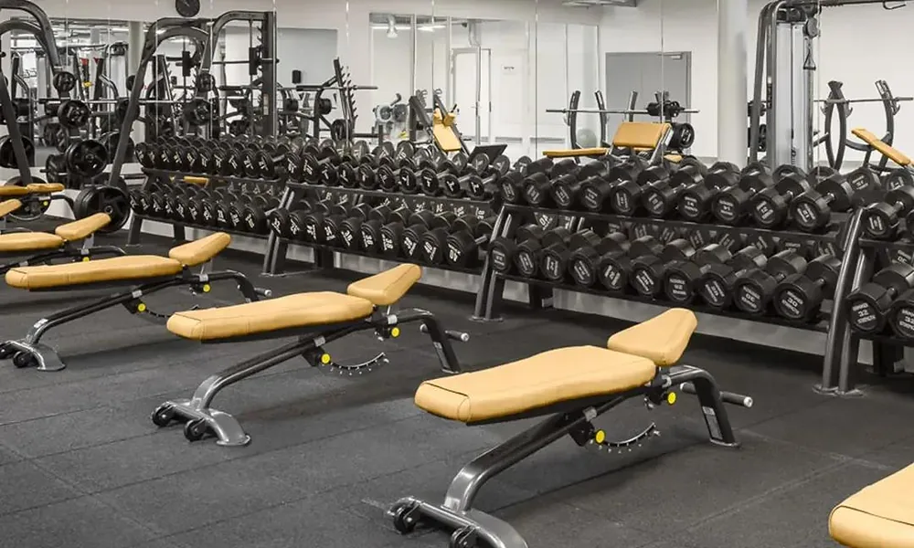 Peeacelily | Planet Fitness: Membership Costs, Equipment, Benefits, and What to Know Racks of black dumbbells arranged neatly alongside adjustable exercise benches-Planet Fitness