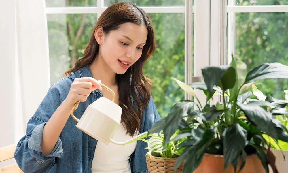 Peeacelily | Plant: A Complete Guide to Types, Growth, Care, and Benefits A woman watering a potted houseplant near a window.