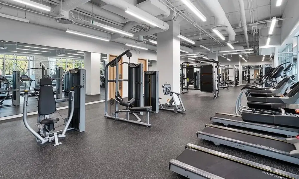 Peeacelily | Planet Fitness: Membership Costs, Equipment, Benefits, and What to Know Modern, well-maintained commercial gym layout featuring open floors and bright lighting-Planet Fitness