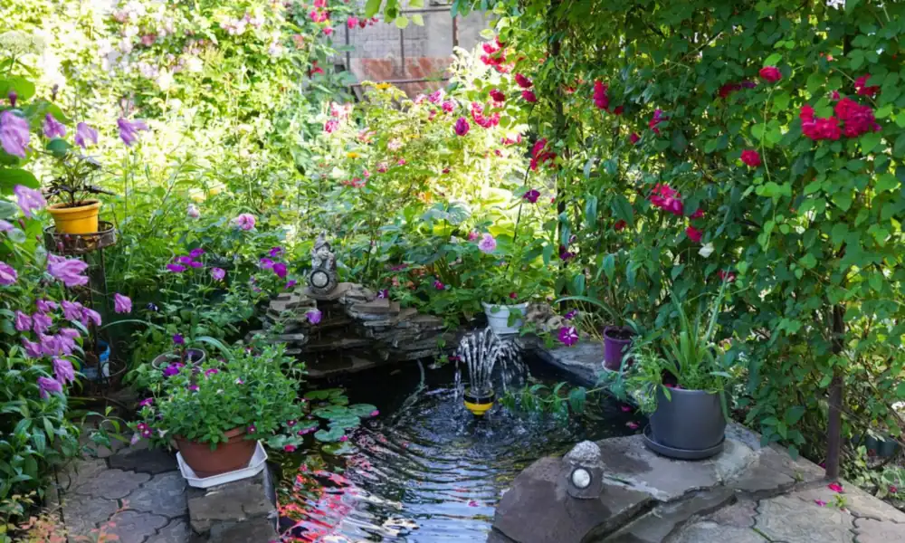 A lush collection of potted indoor plants arranged for different in the home garden