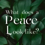 what does a peace look like