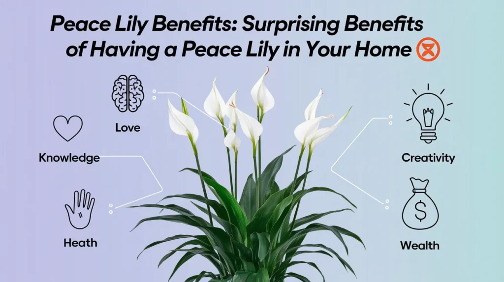 Peace Lily Benefits: Surprisings Benefits of Having a Peace Lily in Your Home 🌿