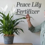 peace fertilizer