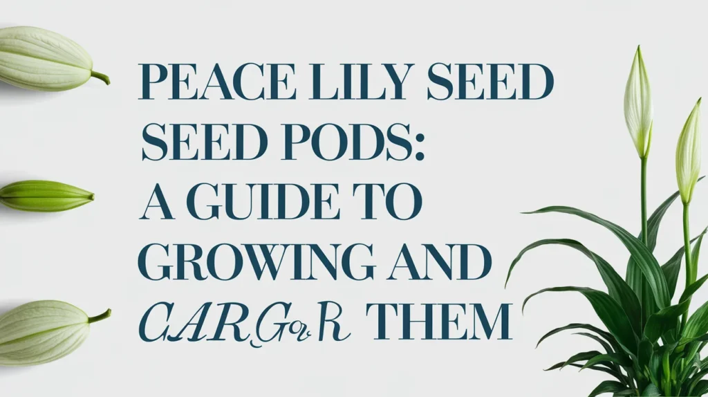 Peace Lily Seed Pods: A Guide to Growing and Caring for Them 🌿🌱