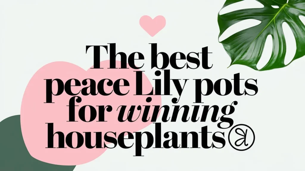 The Best Peace Lily Pots for Winning Houseplants