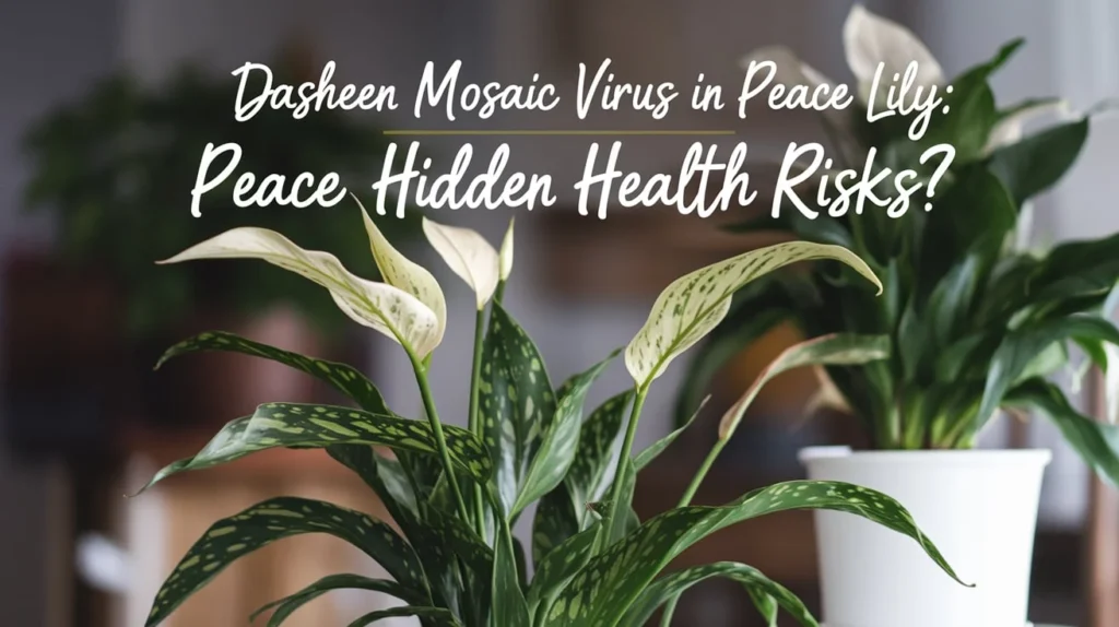 “Dasheen Mosaic Virus in Peace Lily: Hidden Health Risks?”