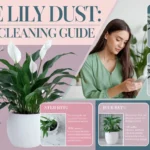 Peace Lily Dust: A Step-by-Step Plant Cleaning Guide