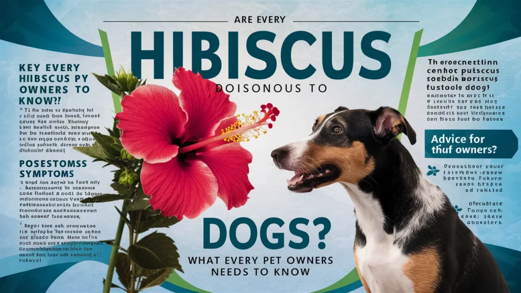 Are Hibiscus Poisonous to Dogs? What Every Pet Owner Needs to Know