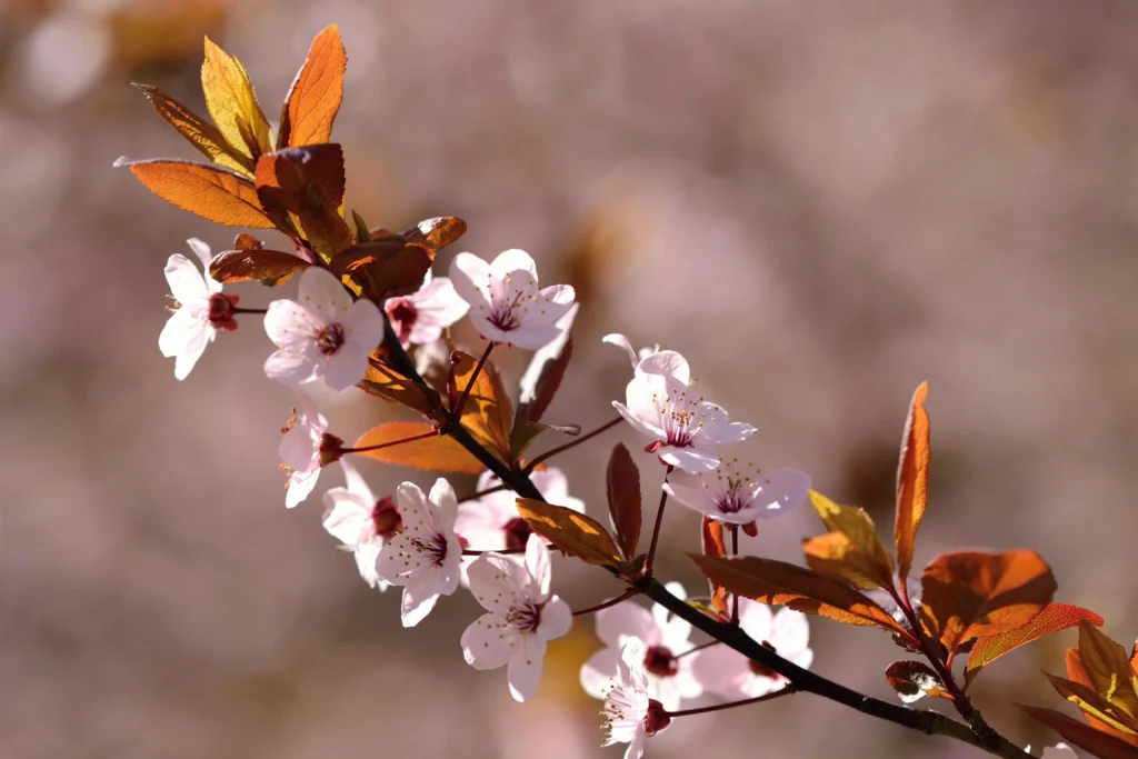 Ideal Conditions for Growth