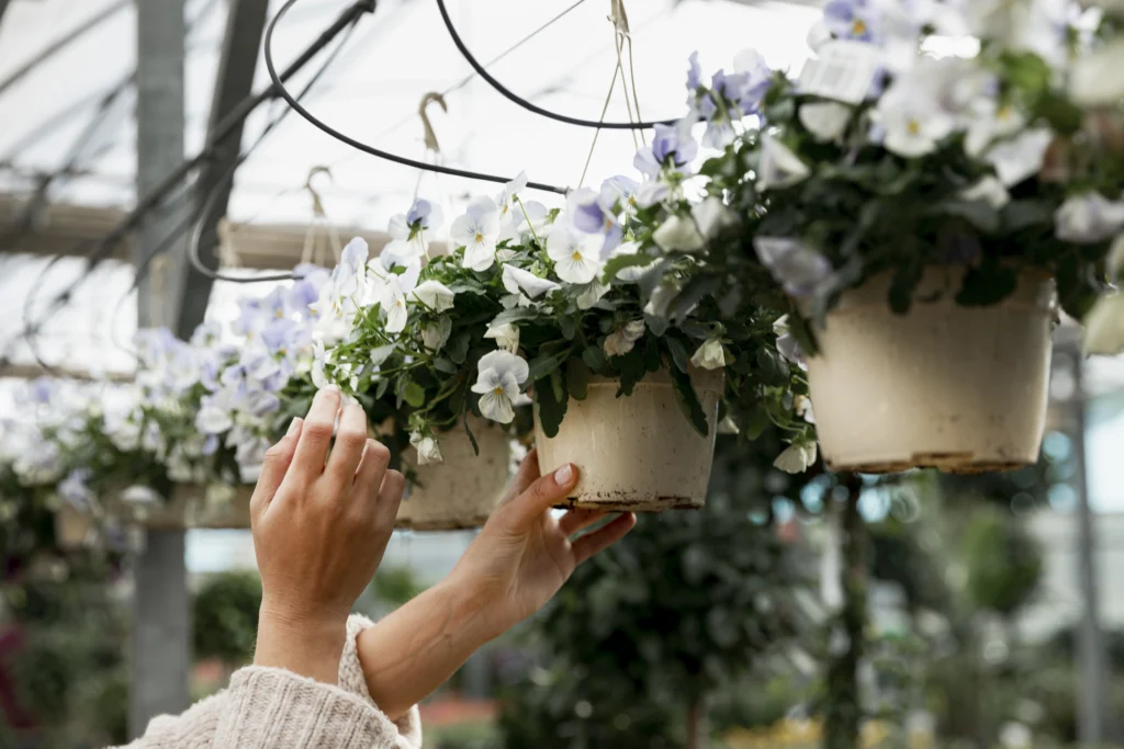 DIY Self-Watering Hanging Basket Setup