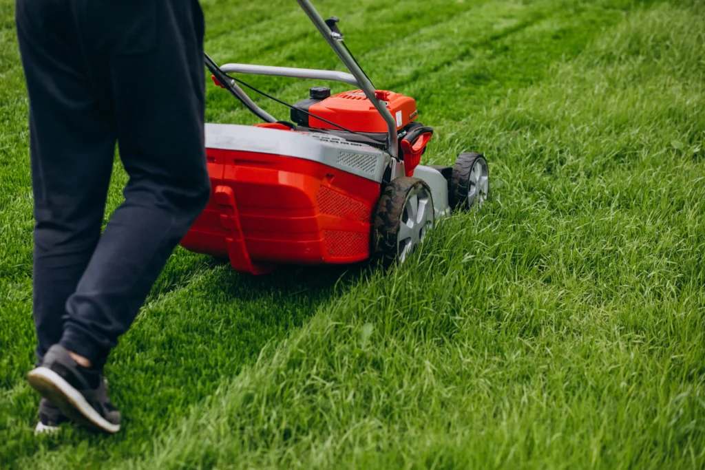 The Hidden Risks of Common Winter Grass Care Habits