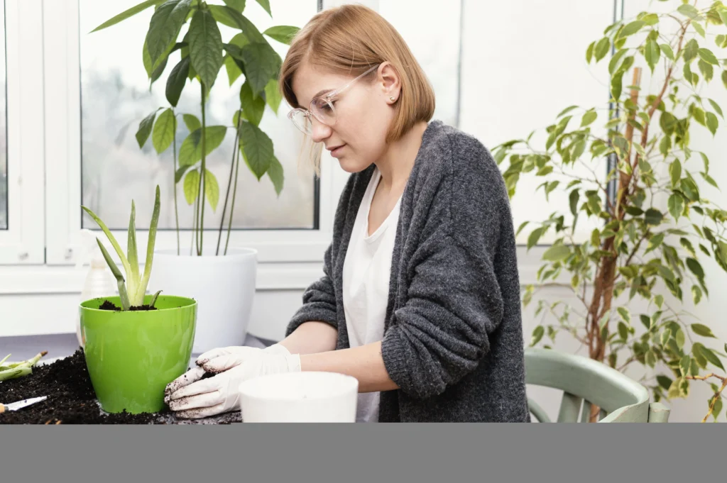 How to know if your garden needs fertilizer