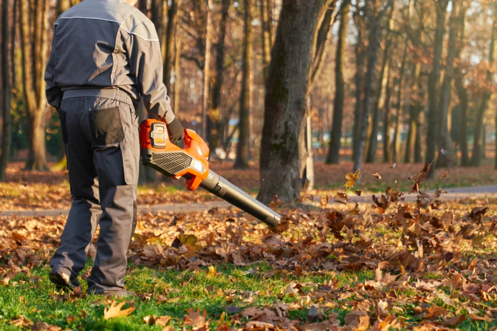 Preparing Your Lawn for Seeding