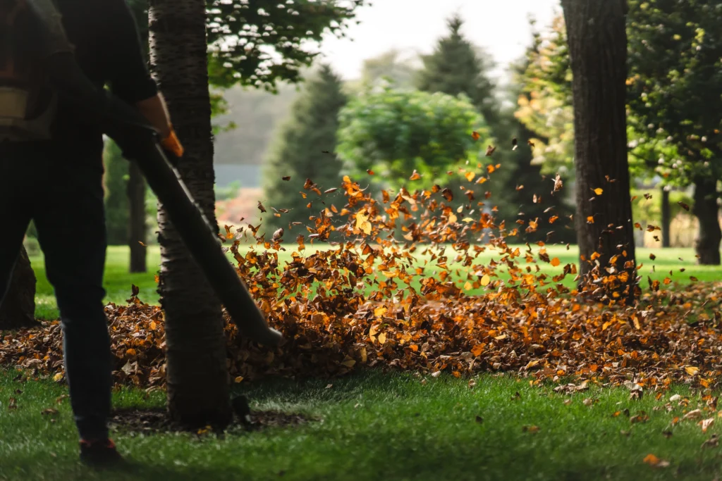 Are You Encouraging Winter Grass Without Realizing It?