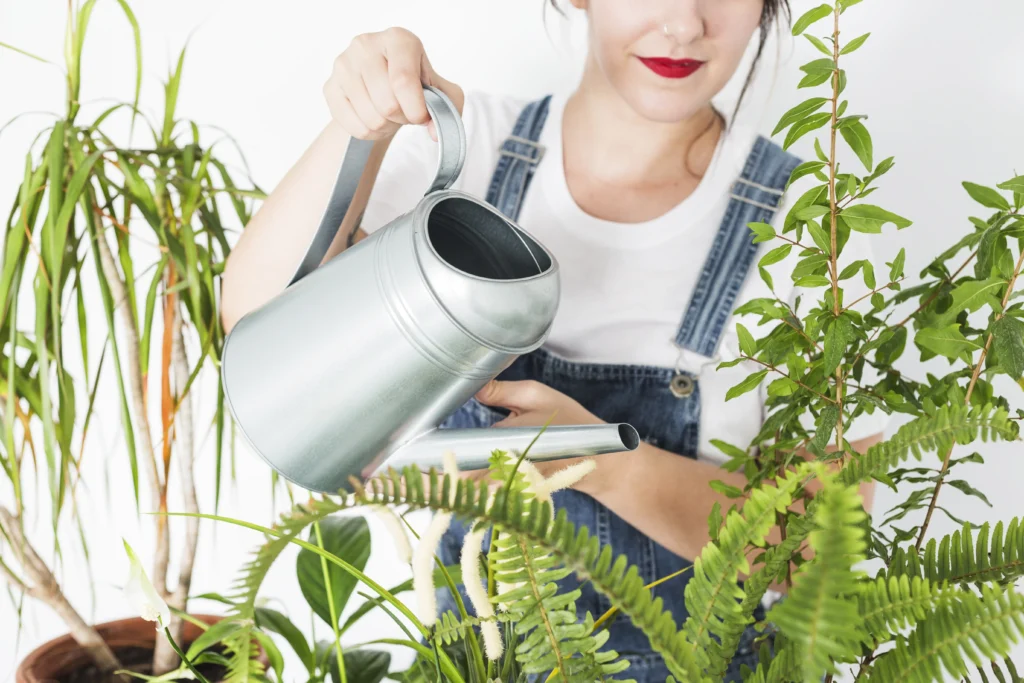 Different plants, different schedules