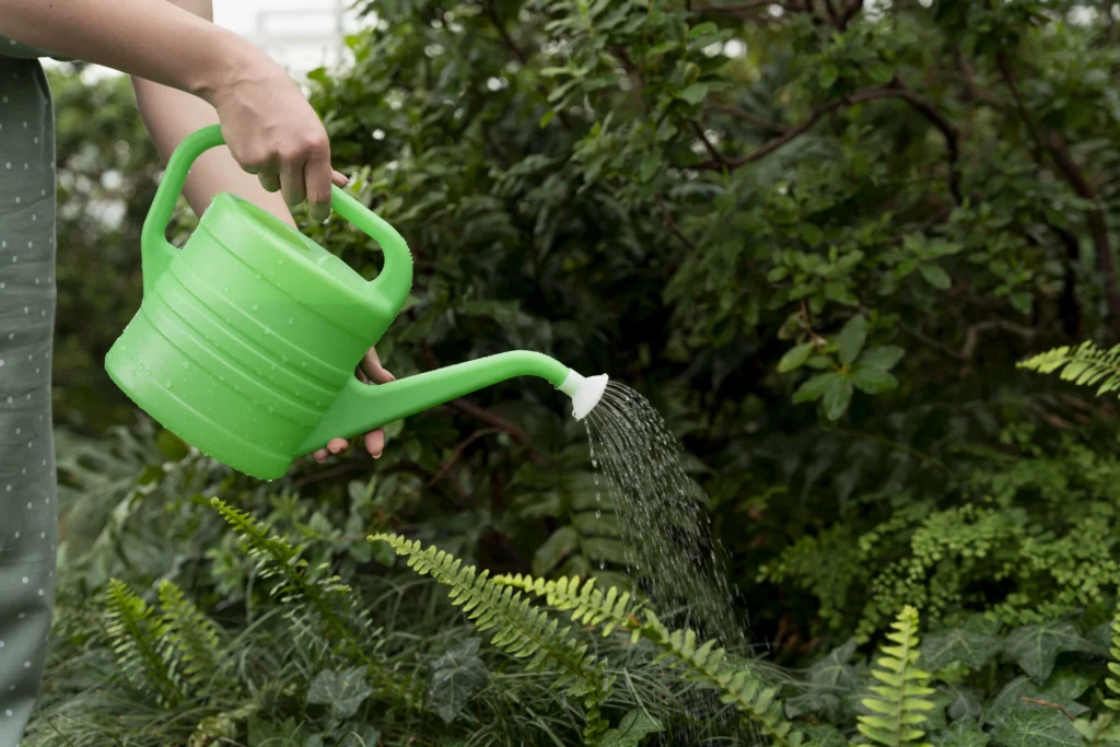 Understanding seasonal fertilizing windows