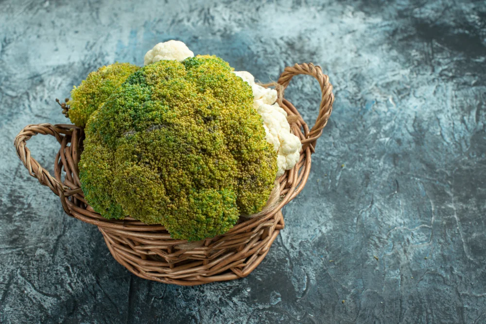Marimo Moss Ball Plant Care: A Complete User-Friendly Guide