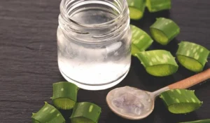 How to Eat an Aloe Vera Plant