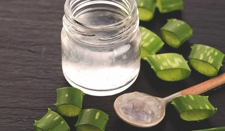 How to Eat an Aloe Vera Plant