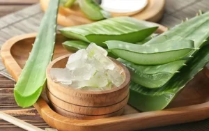 Aloe Vera Plant Recipes: