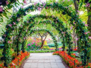 list of garden perennials