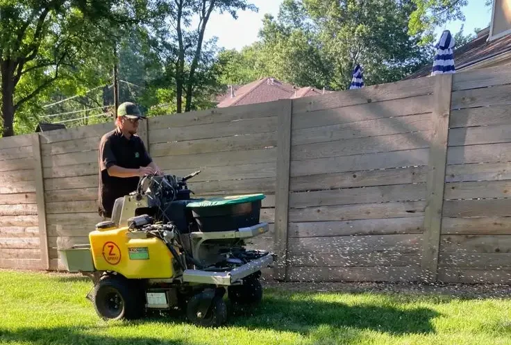 Fertilize Lawn in Summer: