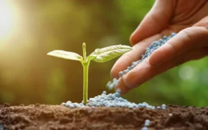 How Often Should I Fertilize My Lawn:
