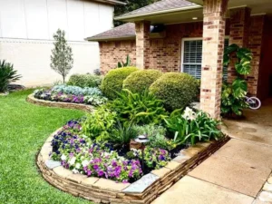 Plants for Front of House:
