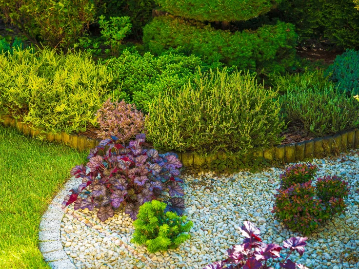 low maintenance outdoor flowers