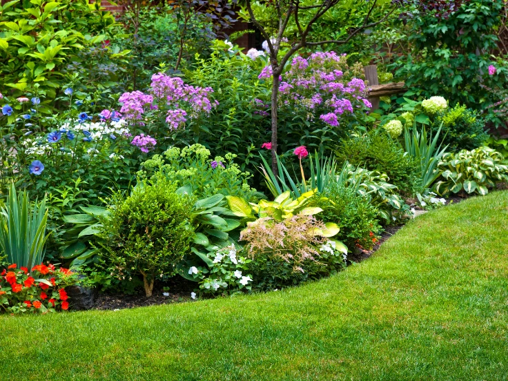 perennial garden flowers list