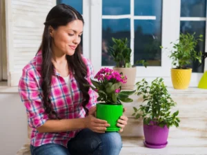 what flowers can i plant now