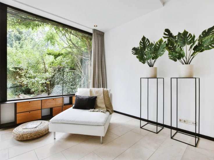 house plants with white flowers