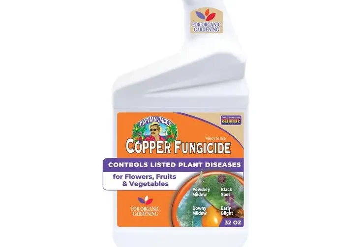 Neem Oil vs Copper Fungicide: