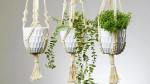 Macrame Hanging Planter ideas