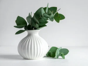 eucalyptus plant indoor benefits