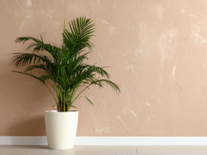 good tall indoor plants