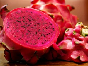 indoor dragon fruit plant