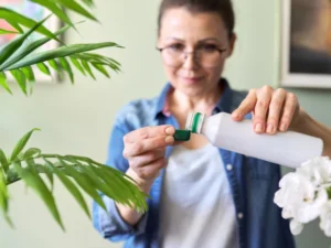 indoor liquid plant fertilizer