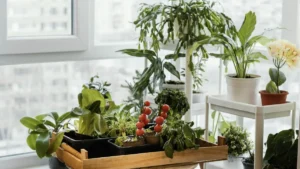 indoor plant ideas for small spaces USA