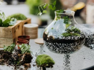 indoor plant soil mixture