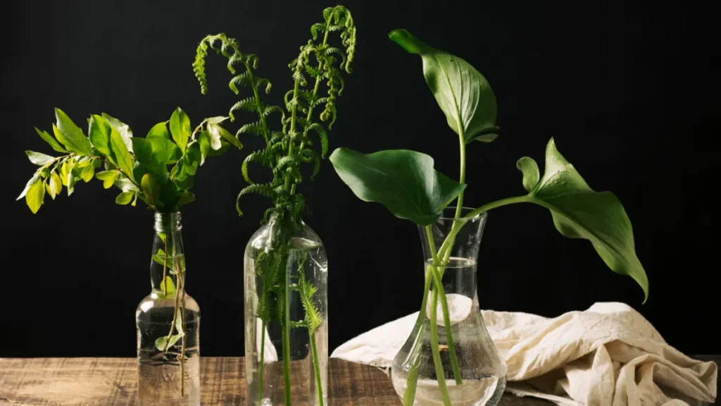 Glass terrarium with moss and ferns on a wooden desk