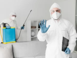 is landlord responsible for pest control