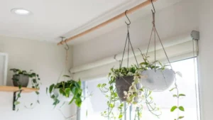 Hanging Plants Indoors Ideas: 21 Ways to Style Your Space