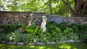 Ideas for Shading Plants: Create Beautiful Shade Gardens