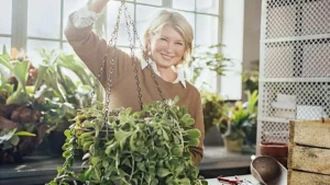 Indoor Hanging Plant Ideas for Apartments and Low Light Homes