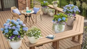 Outdoor Plants in Pots Ideas: Best Container Gardening Tips